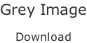 Grey Image  Download
